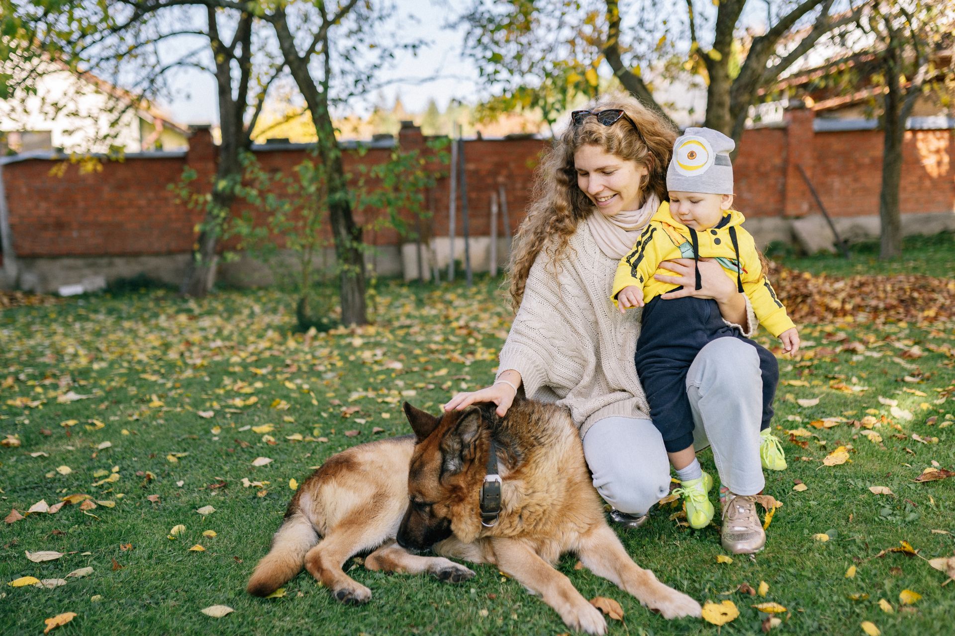 Cat care image for Fe-BARQ: Feline Behavioral Assessment & Research Questionnaire
