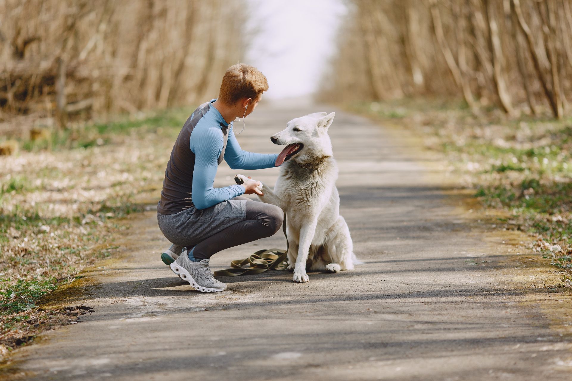 Dog care image for Canine Stress Calculator