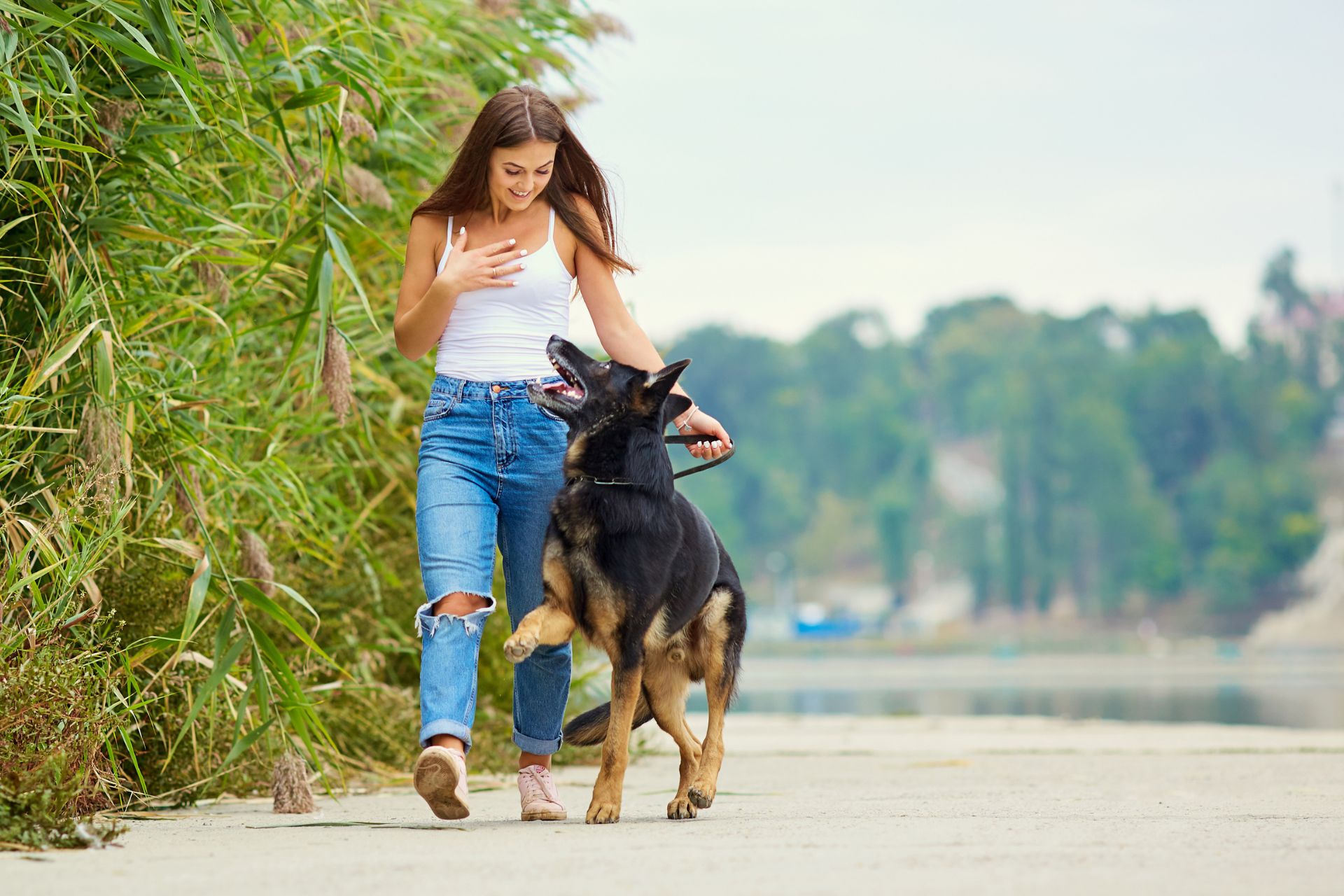 Dog care image for Inbreeding Coefficient Calculator
