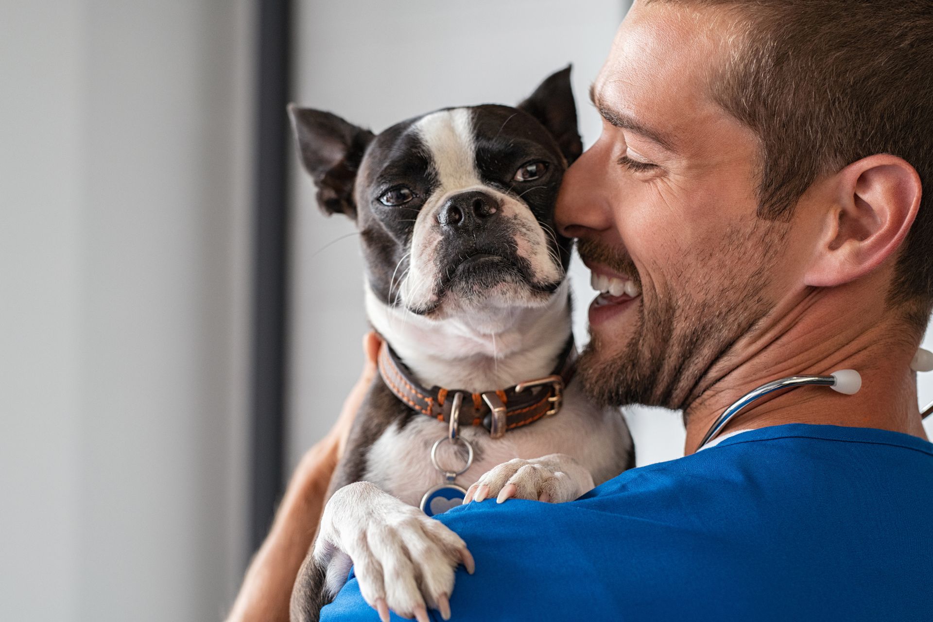 Simulation tools for pet owners