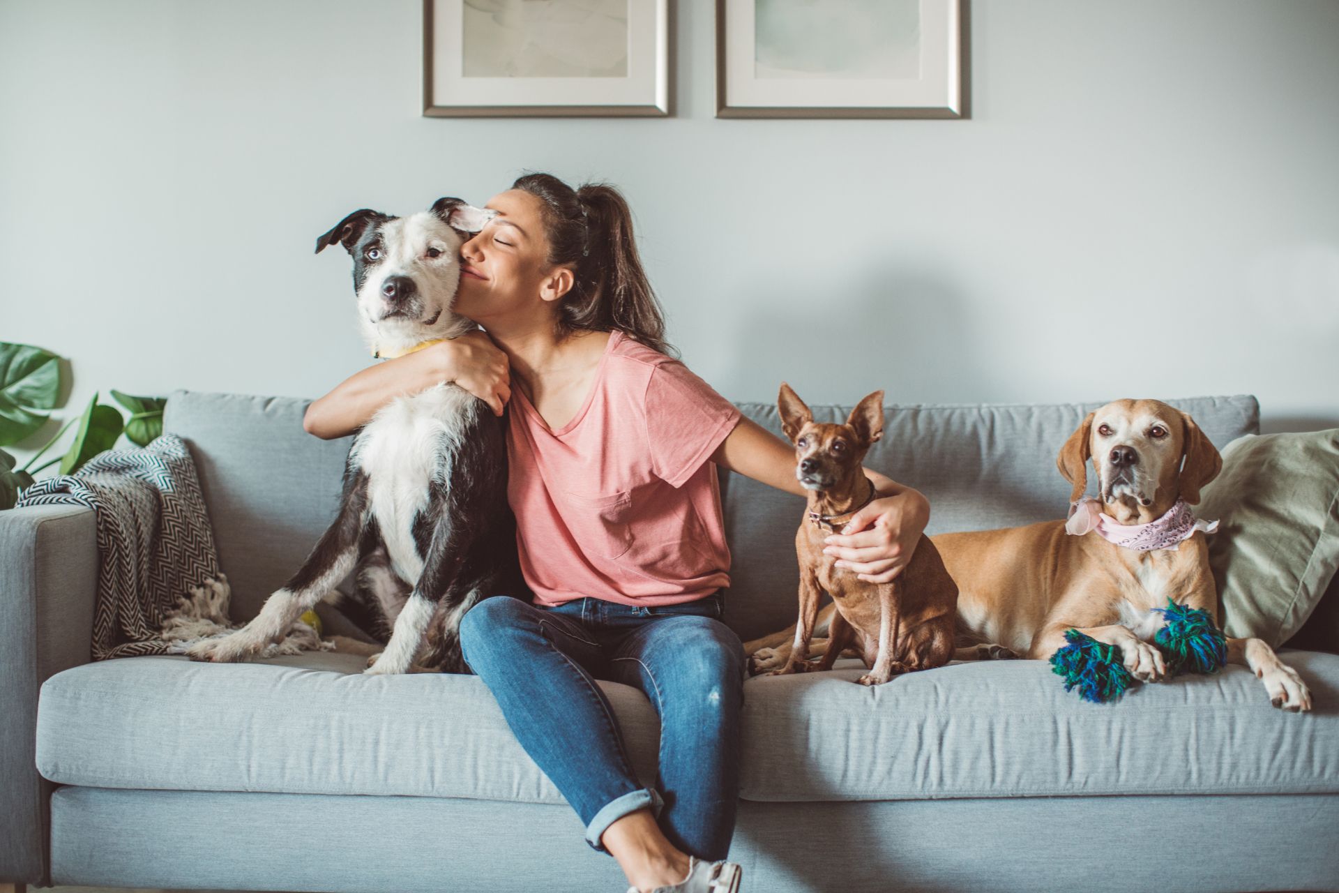 Family reading together with their dog nearby