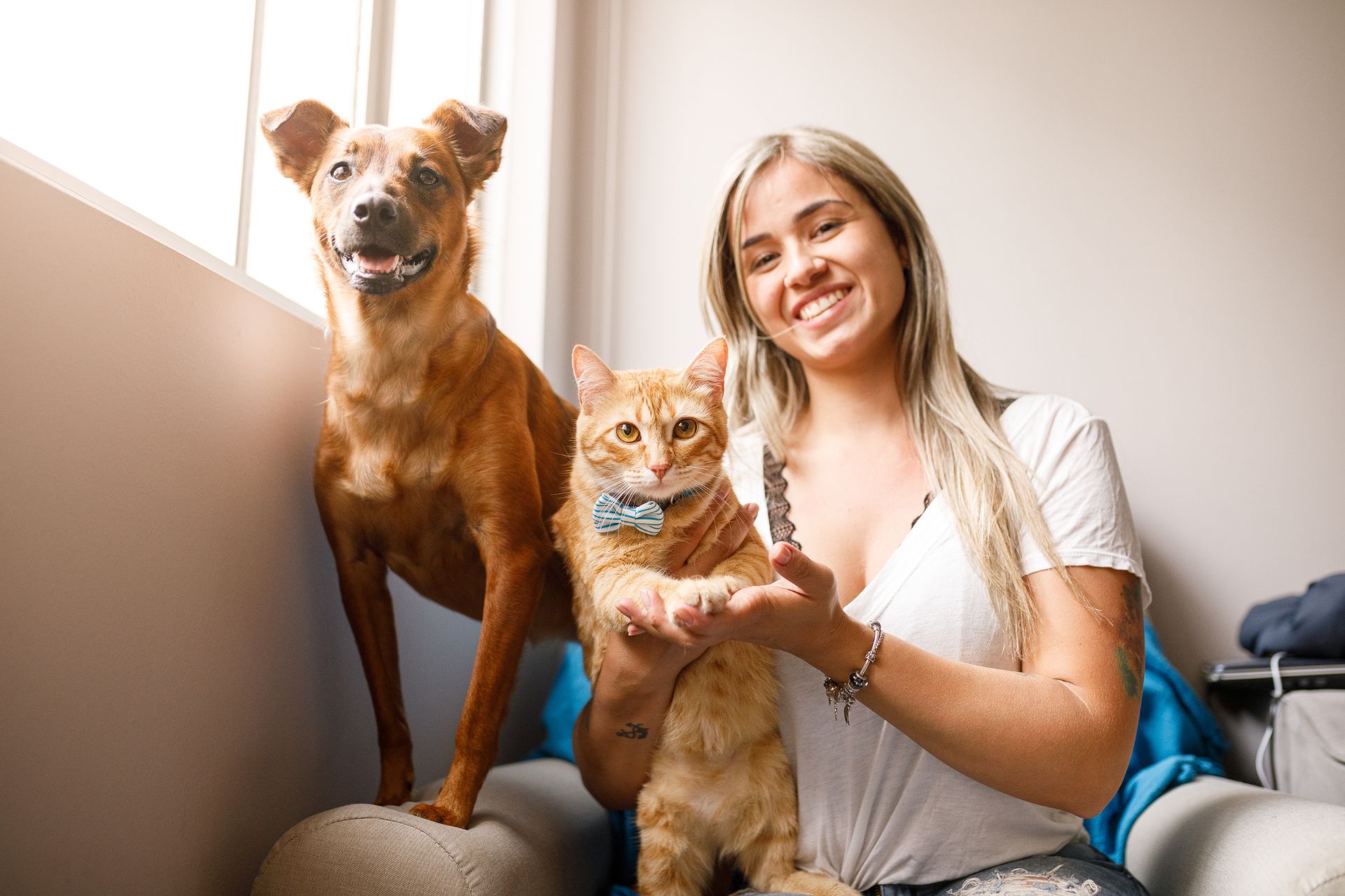 Identifier tools for pet owners