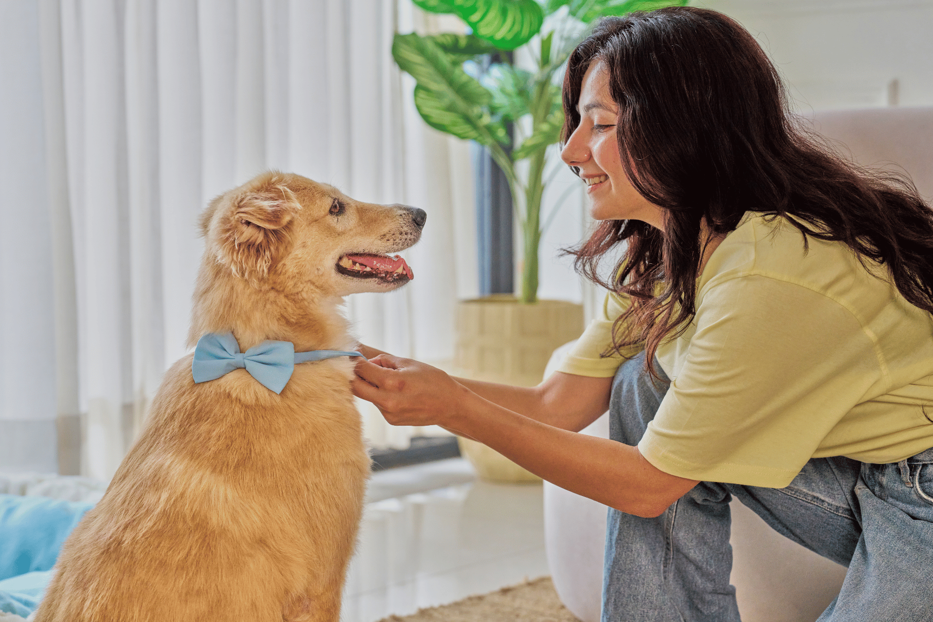 Dog care image for CARAT Temperament Assessment