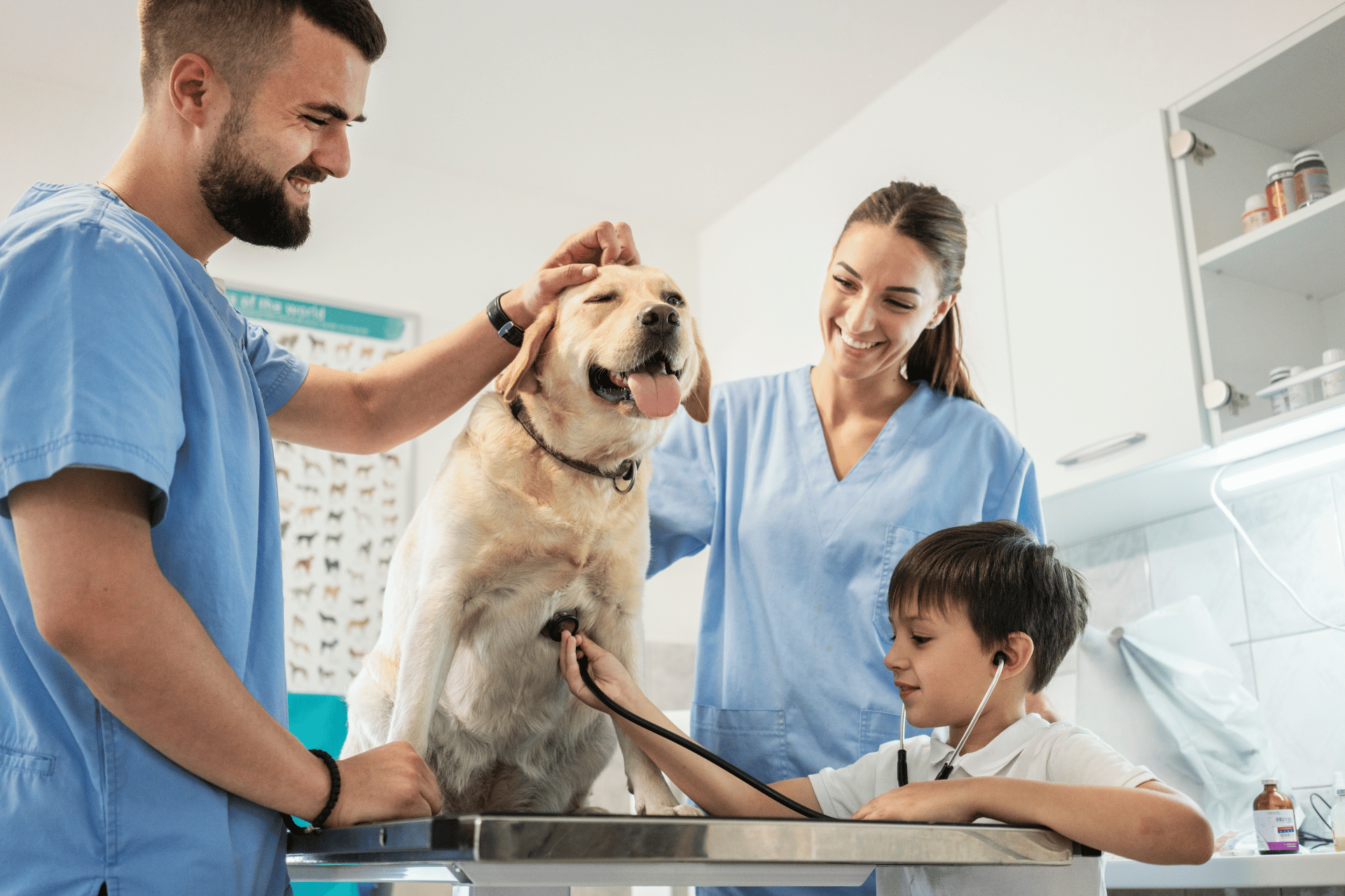 Dog care image for Canine Life Stage Calculator