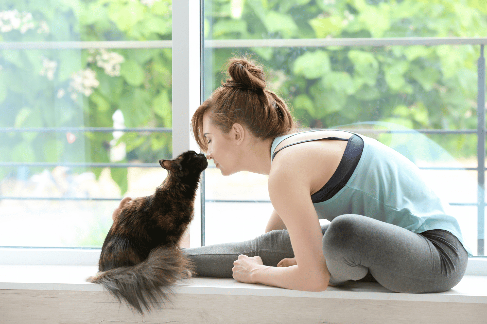 Cat care image for Cat Exercise Calculator