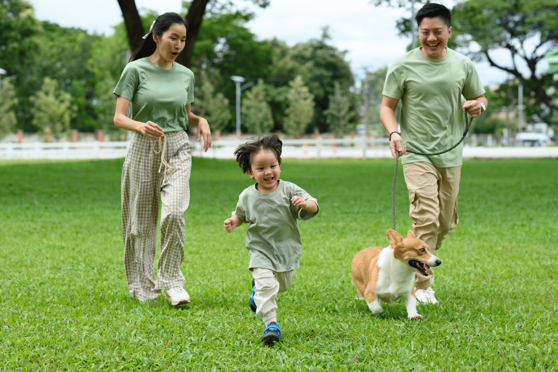 Dog care image for Dog Quality of Life Calculator