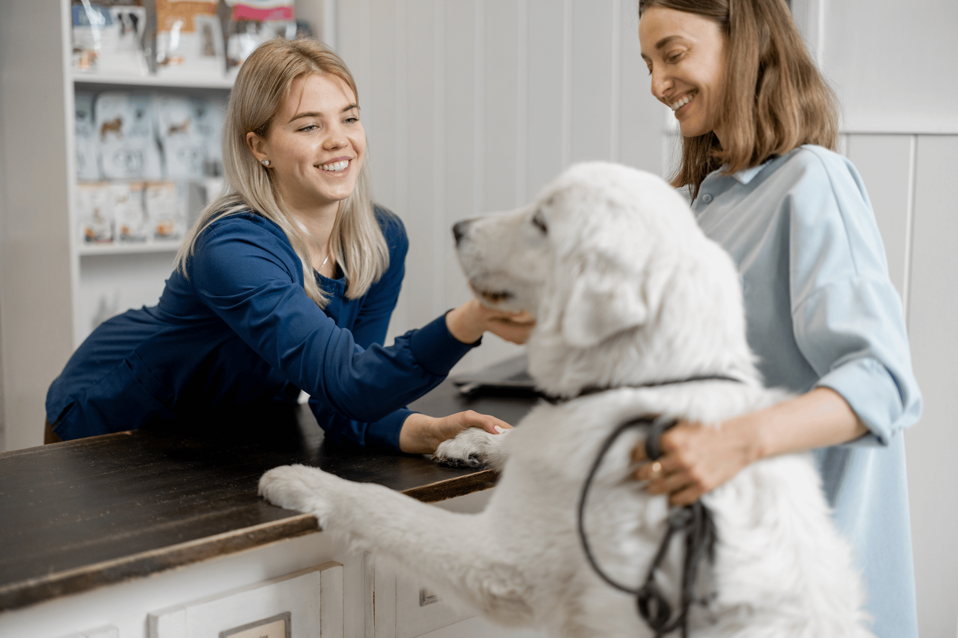 Dog care image for Dog Veterinary Care Calculator