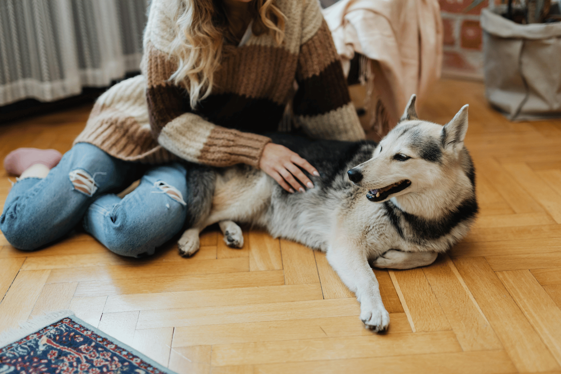 Dog / Cat care image for FAS Spectrum