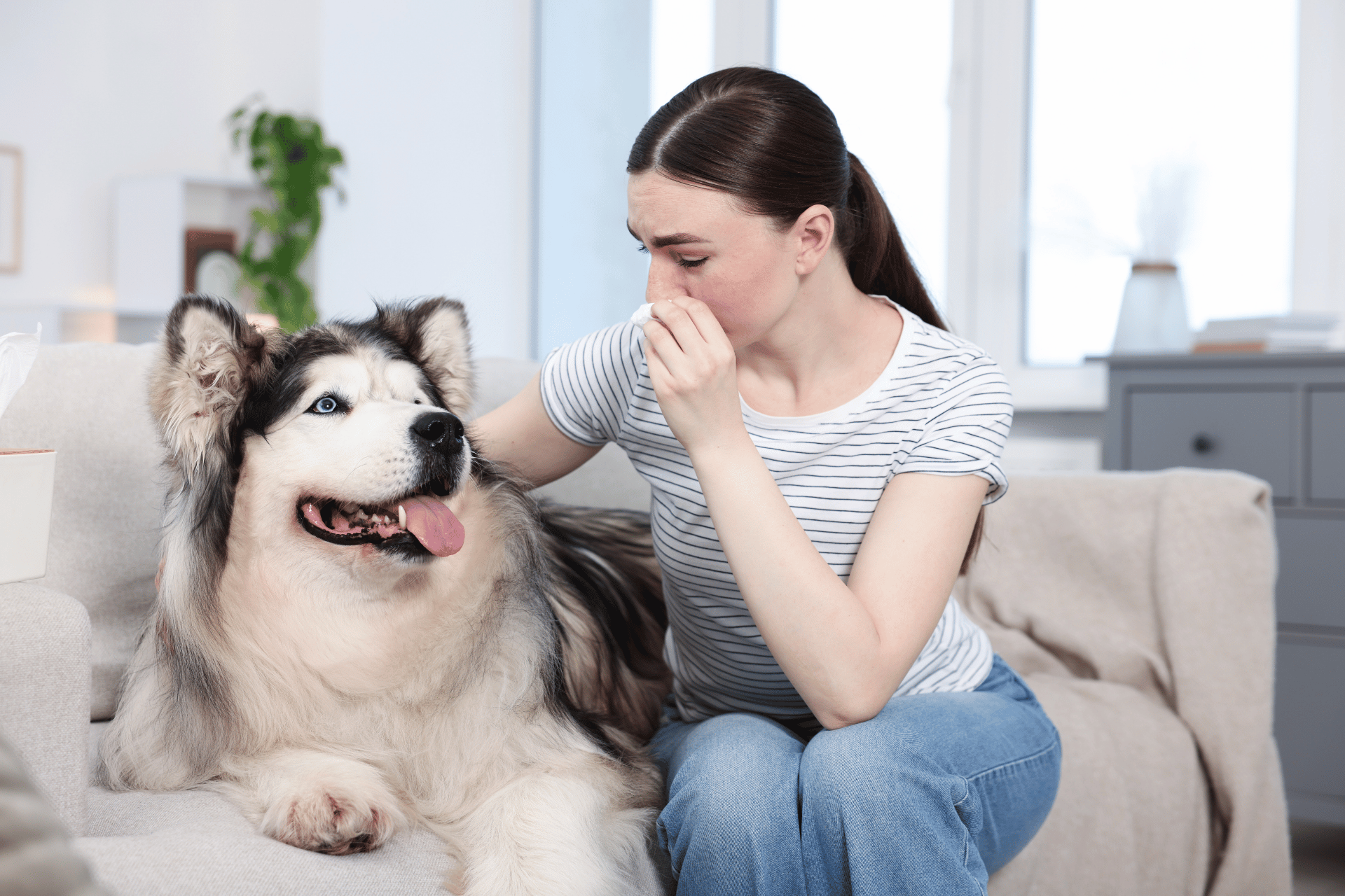 Pet care image for Pet Breath Counter