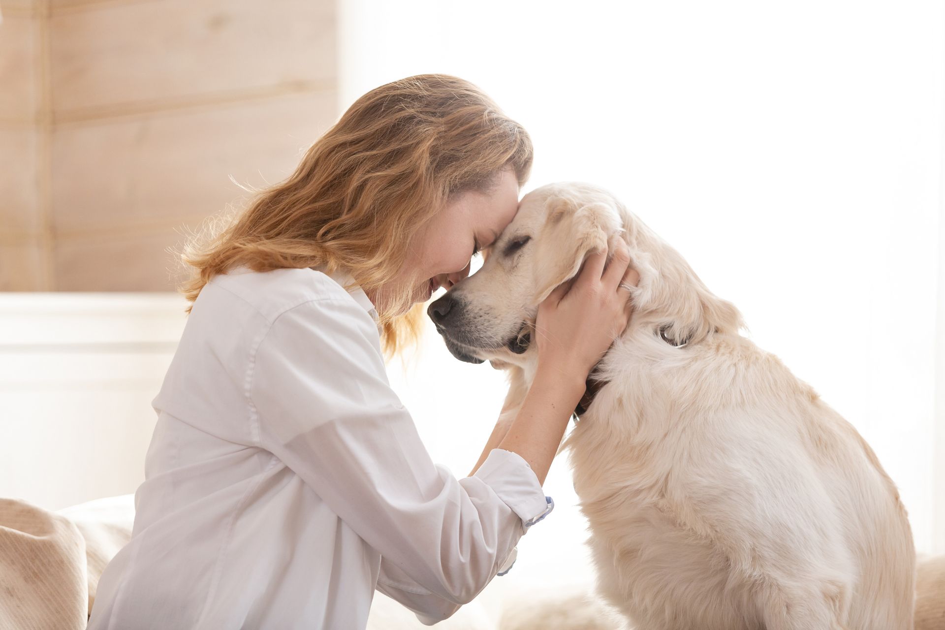 Woman cuddling a golden dog at home